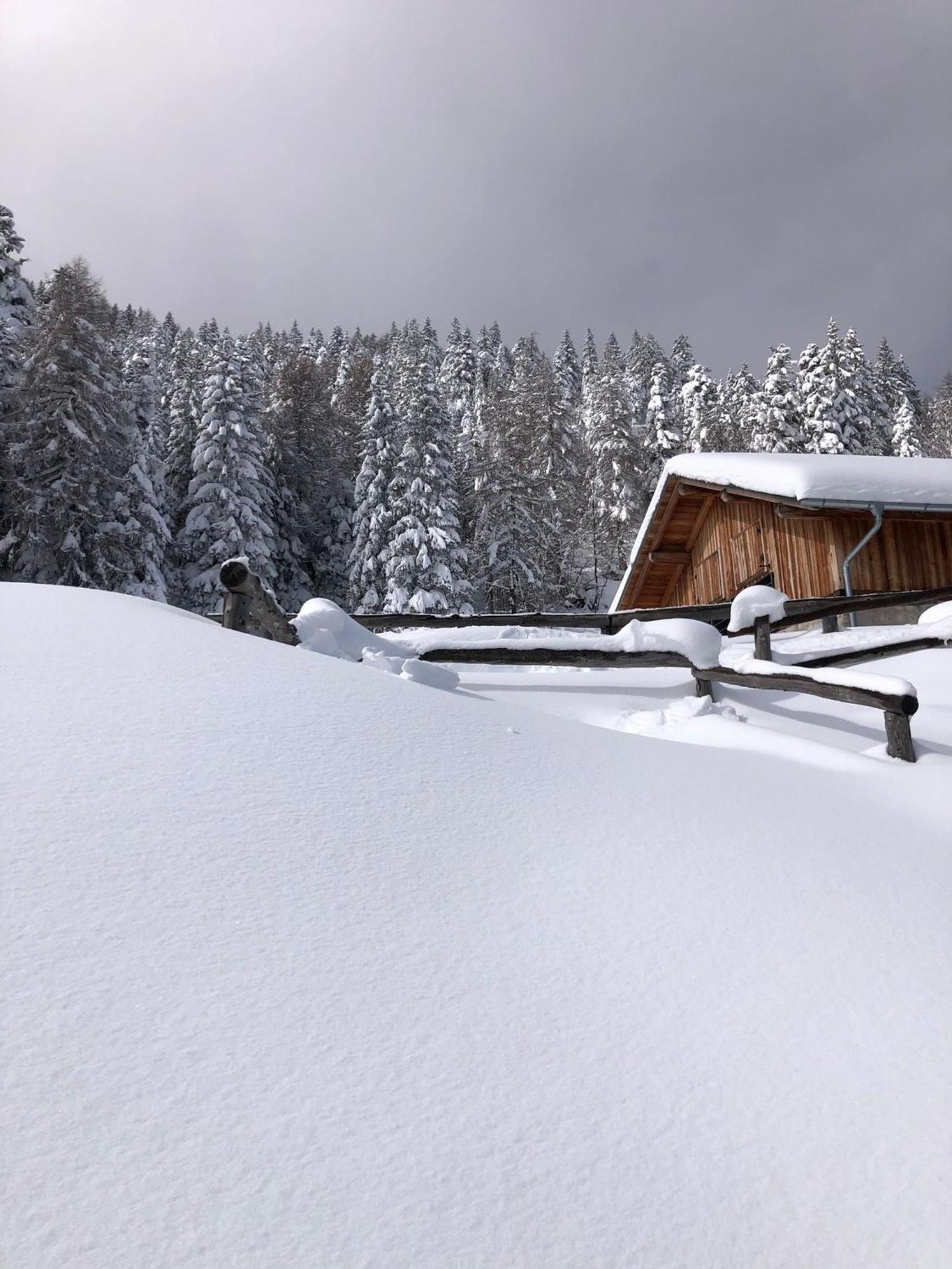 Brenta Luxury Chalet Sporminore Luaran gambar